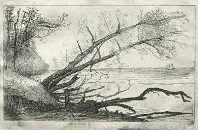 Stary Jawor, 1877. autorstwa Otto H. Bacher