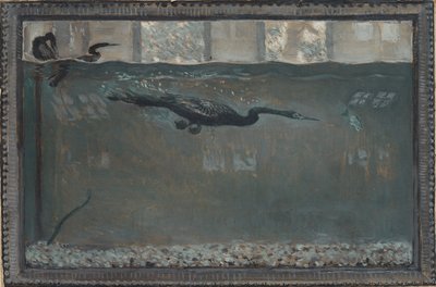 Nurkujący kormoran autorstwa Otto Henry Bacher