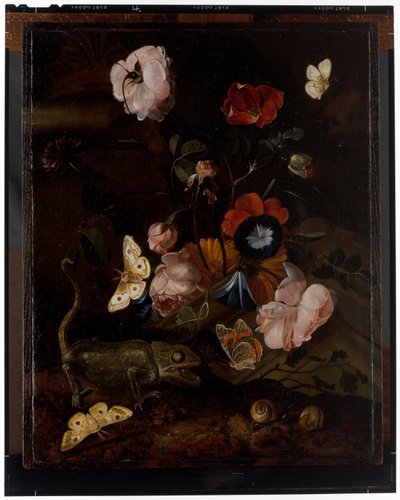 Las Martwa Natura autorstwa Otto Marseus  van Schrieck