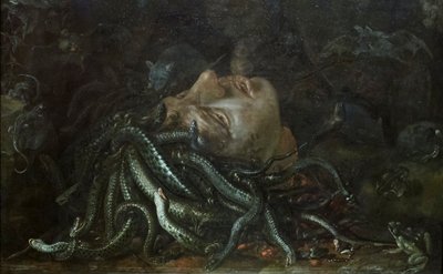 Głowa Meduzy autorstwa Otto Marseus  van Schrieck