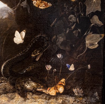 Węże, ropuchy i motyle autorstwa Otto Marseus van Schrieck