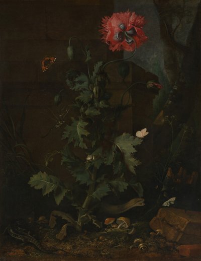 Martwa natura z makiem, owadami i gadami, ca. 1670. autorstwa Otto Marseus  van Schrieck