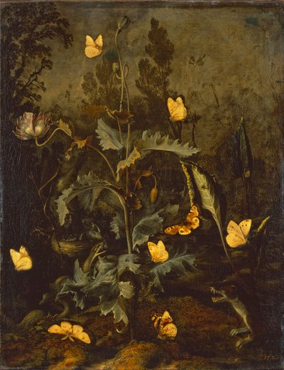 Wąż w ptasim gnieździe / Mak lekarski z ptasim gniazdem, wężem, motylami i łasicą autorstwa Otto Marseus  van Schrieck