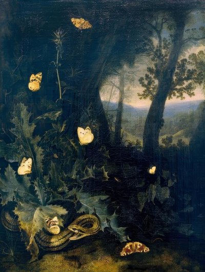 Podłoże leśne z ostem i wężem autorstwa Otto Marseus  van Schrieck