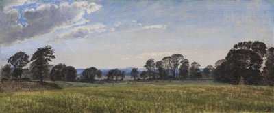 Łąki w Dortheaslyst autorstwa P.C. Skovgaard