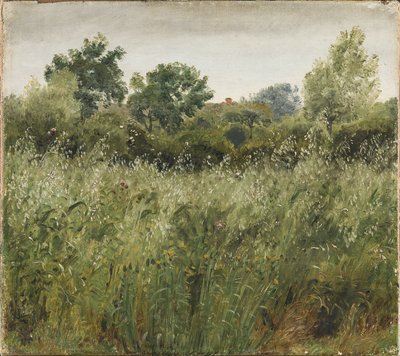 Pole Owsa koło Vejby autorstwa P.C. Skovgaard