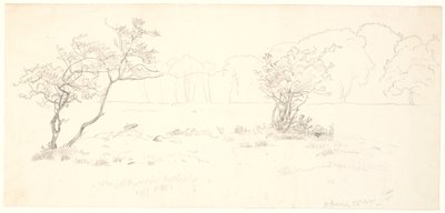 Z Eremitagesletten w Dyrehaven. autorstwa P.C. Skovgaard