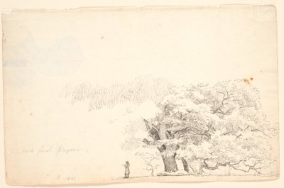Duże dęby, t.v. człowiek czytający. autorstwa P.C. Skovgaard