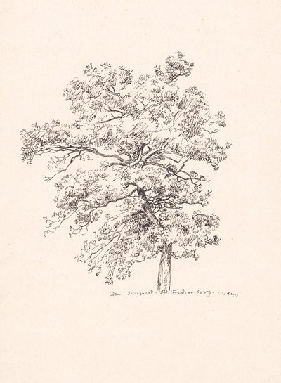 Drewno w Fredensborg autorstwa P.C. Skovgaard