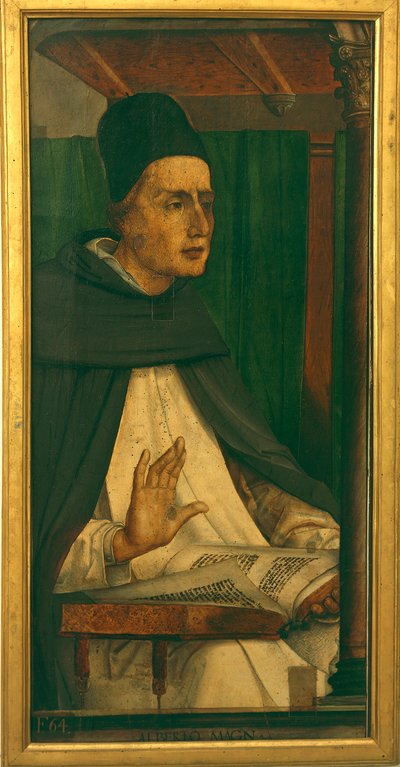 Albert Wielki (olej na płótnie) autorstwa P. (c.1450 1504) Joos van Gent and Berruguete