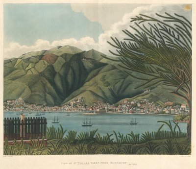 Widok św. Tomasza z Havensicht, 18 stycznia, litografia Josepha Constantine