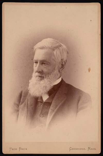 Portret Asy Grey 1810-1888, marzec 1887. autorstwa Pach Bros