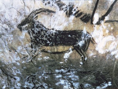 Koza lub kozica, malowidło naskalne w Sali Czarnej, Magdalen (malarstwo jaskiniowe) autorstwa Paleolithic Paleolithic