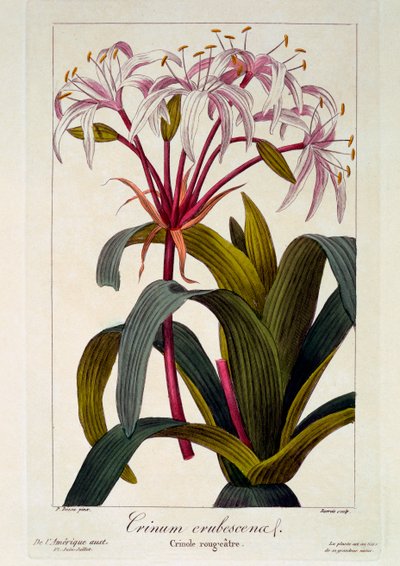 Rumieniące się włosy, pub. 1836 autorstwa Panacre Bessa