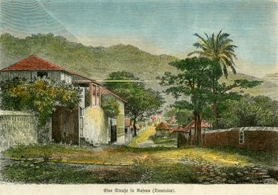 Ulica w Roseau, Dominika, ok. 1880 r. autorstwa Pann