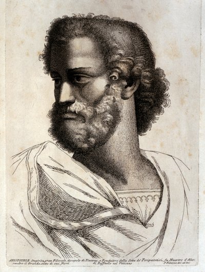 ARISTOTLE autorstwa Paolo Fidanza