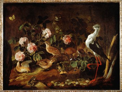 Martwa natura z sową i ibisem - Nature morte avec une chouette et un ibis ... autorstwa Paolo Porpora