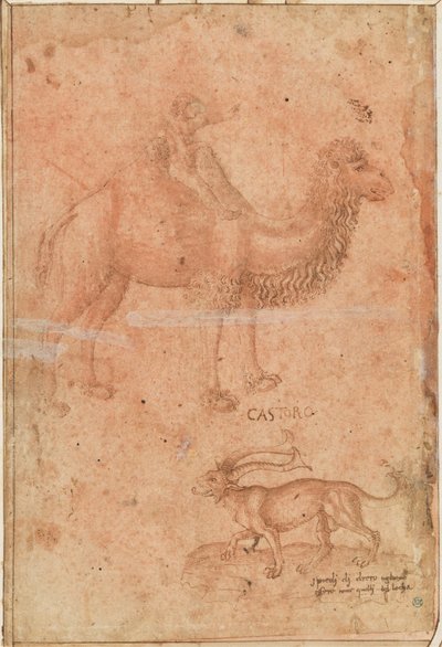 Ein Kamel mit einem reitenden Kind. Darunter ein fabelhaftes Tier (Castoro) autorstwa Paolo Uccello