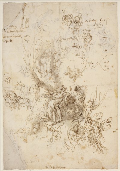 Szkice narodzin i śmierci Adonisa autorstwa Paolo Veronese