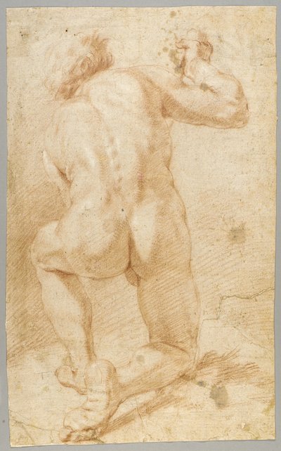 Rysunek autorstwa Paolo de Matteis