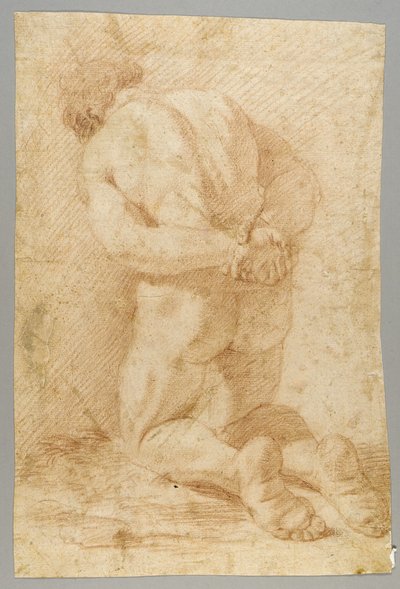 Rysunek autorstwa Paolo de Matteis
