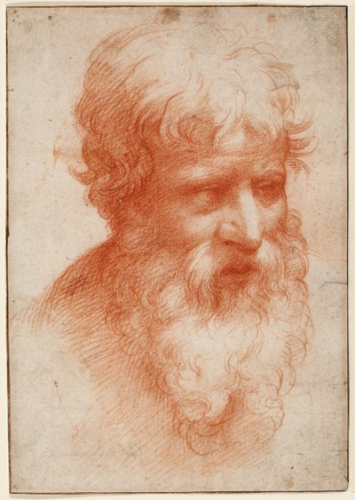 Głowa brodatego mężczyzny, patrząc w prawo, ok. 1523-25 (czerwona kreda na papierze) autorstwa Parmigianino (1503 40)