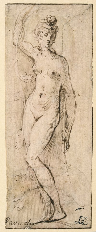 Postać kobieca - studium dla Santa Maria della Steccata, Parma (recto) autorstwa Parmigianino
