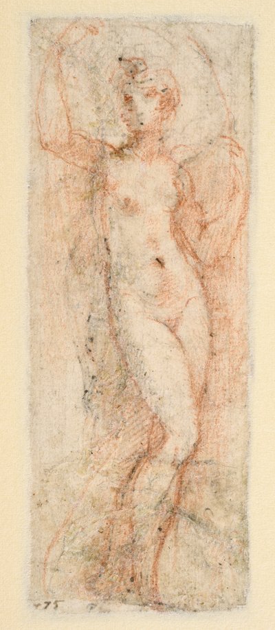 Postać kobieca - studium dla Steccaty (verso) autorstwa Parmigianino