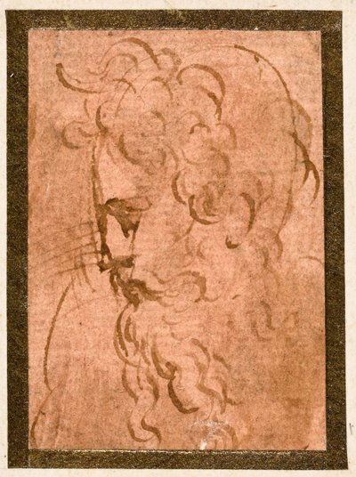Głowa mężczyzny autorstwa Parmigianino