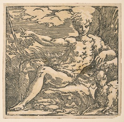 Św. Jan Chrzciciel na pustyni autorstwa Parmigianino