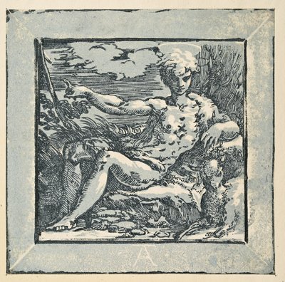 Św. Jan Chrzciciel na pustyni autorstwa Parmigianino
