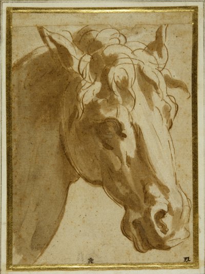 Głowa i szyja konia (pióro i brązowy tusz z wash na kremowym papierze) autorstwa Parmigianino
