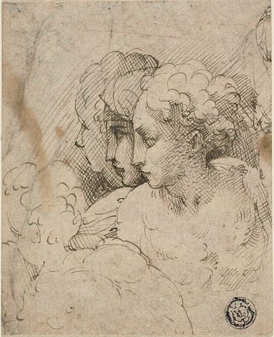 Kobiece głowy autorstwa Parmigianino
