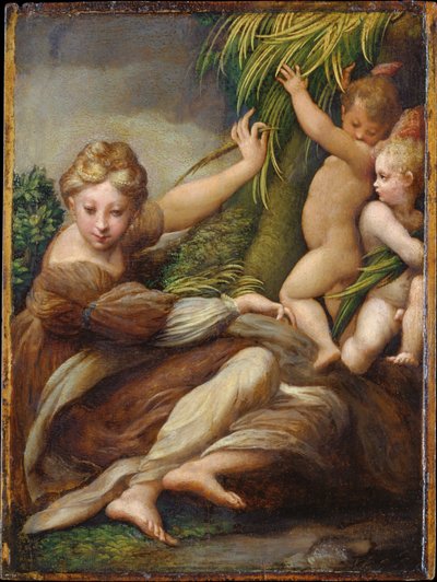Męczenniczka z aniołami (św. Katarzyna z Aleksandrii) autorstwa Parmigianino