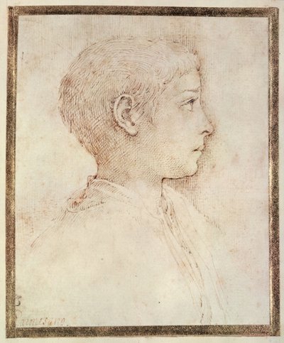 Głowa chłopca autorstwa Parmigianino