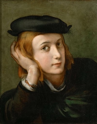 Portret chłopca, ok. 1524. autorstwa Parmigianino