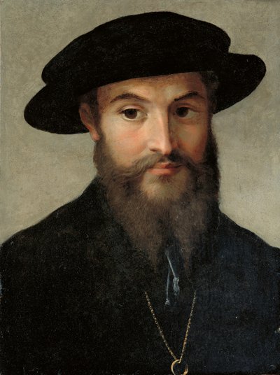 Portret brodatego mężczyzny autorstwa Parmigianino