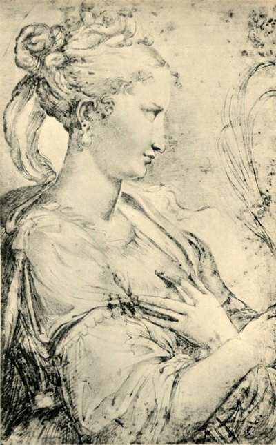 Studium św. Katarzyny, ok. 1530-1540, 1943. autorstwa Parmigianino