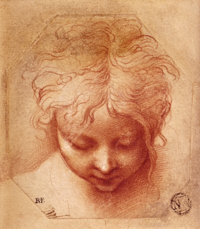Studium głowy (czerwona kreda na papierze) autorstwa Parmigianino