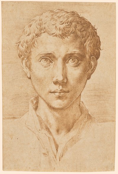 Głowa młodego mężczyzny autorstwa Parmigianino