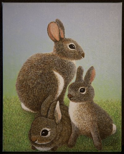 Rabbit Family, 2016 r. autorstwa Pat Scott