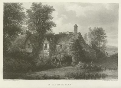 W Starym Hyde Parku autorstwa Patrick Nasmyth