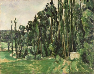 Topole, ok. 1879-82 (olej na płótnie) autorstwa Paul Cézanne