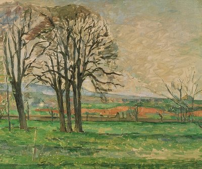 Nagie drzewa w Jas de Bouffan. 1885-86 autorstwa Paul Cézanne