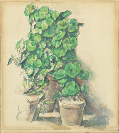 Pelargonie autorstwa Paul Cézanne