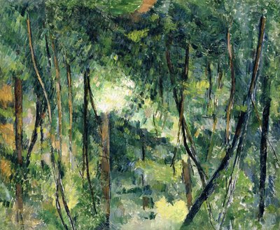 Zarośla, ok.1885 autorstwa Paul Cézanne