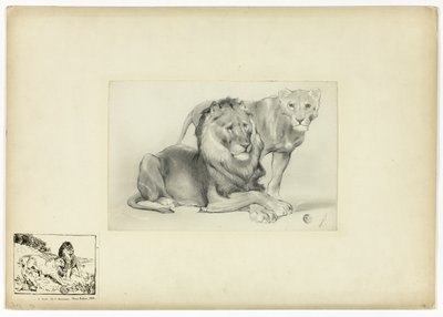 Lew i Lwica autorstwa Paul Friedrich Meyerheim