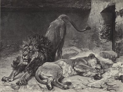 Przebudzenie lwa autorstwa Paul Friedrich Meyerheim