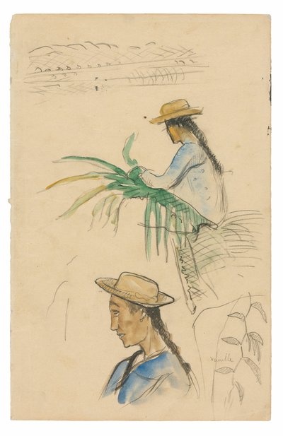 Szkice postaci, liścia pandanusa i rośliny wanilii autorstwa Paul Gauguin