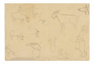 Szkice różnych zwierząt i głowy (recto), szkice głowy, postaci z profilu, szczegółów anatomicznych i zwierząt (verso) autorstwa Paul Gauguin